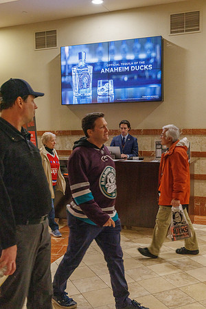 031125_ANAHEIM_DUCKS_1638