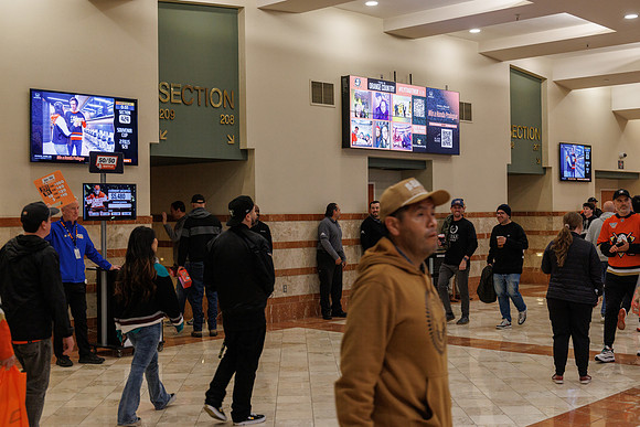 031125_ANAHEIM_DUCKS_0826