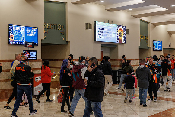 031125_ANAHEIM_DUCKS_0805