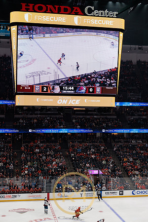 041325_ANAHEIM_DUCKS_351