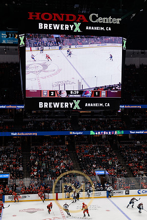 041325_ANAHEIM_DUCKS_394