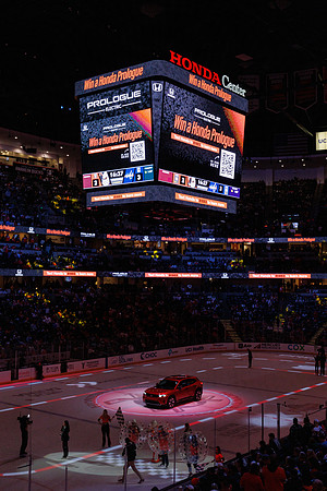 031125_ANAHEIM_DUCKS_1375
