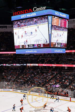 041325_ANAHEIM_DUCKS_203