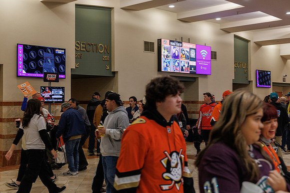 031125_ANAHEIM_DUCKS_0822