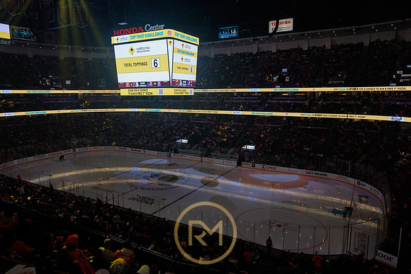 041325_ANAHEIM_DUCKS_319