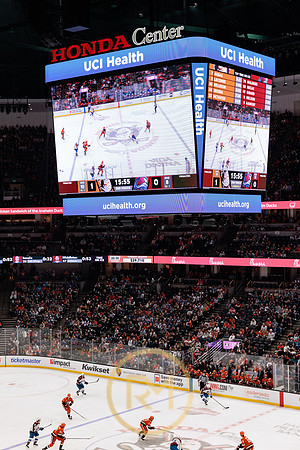 041325_ANAHEIM_DUCKS_202