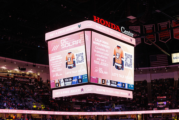 031125_ANAHEIM_DUCKS_1410