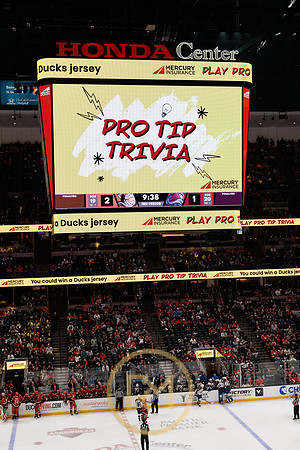 041325_ANAHEIM_DUCKS_389