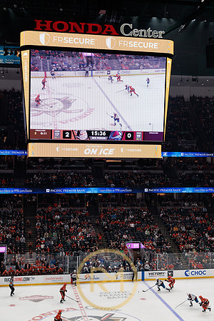 041325_ANAHEIM_DUCKS_355