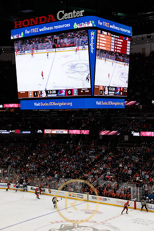 041325_ANAHEIM_DUCKS_219