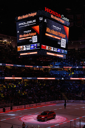 031125_ANAHEIM_DUCKS_1373