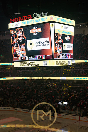 041325_ANAHEIM_DUCKS_322