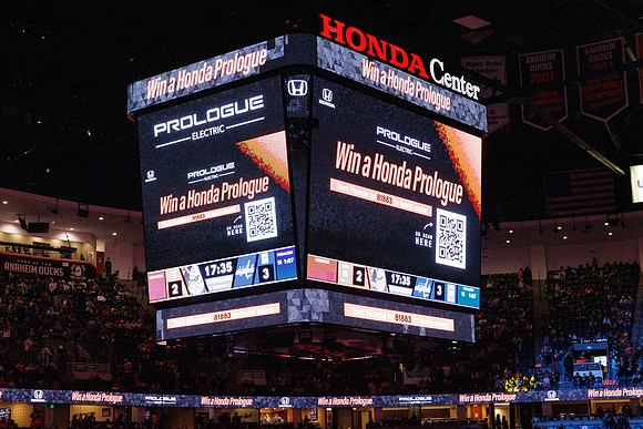 031125_ANAHEIM_DUCKS_1362