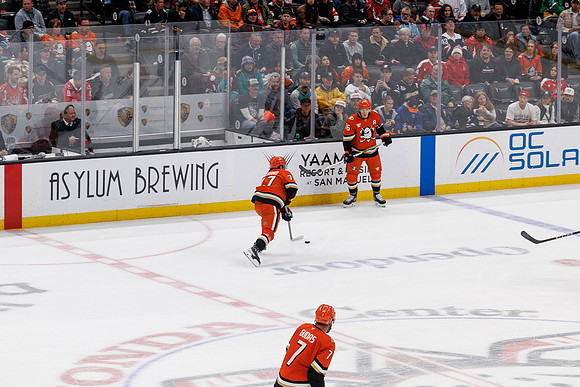 031125_ANAHEIM_DUCKS_1328