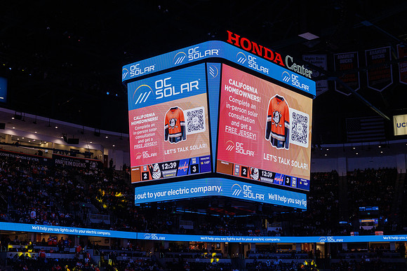 031125_ANAHEIM_DUCKS_1396