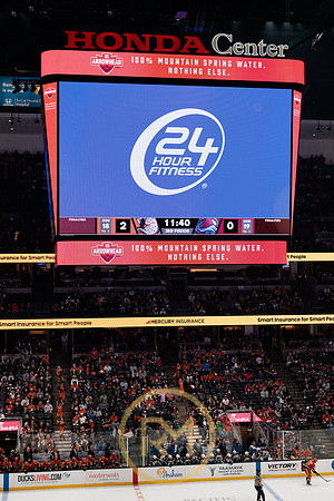 041325_ANAHEIM_DUCKS_380