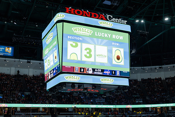 031125_ANAHEIM_DUCKS_1091
