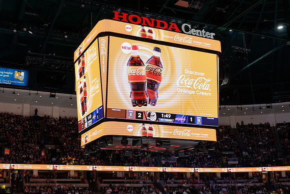 031125_ANAHEIM_DUCKS_1132