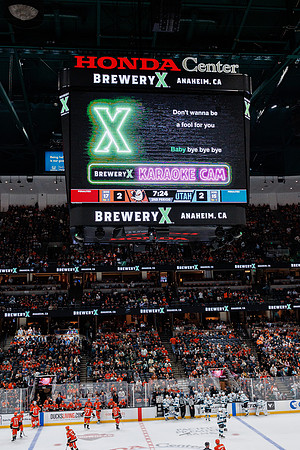 101624_ANAHEIM_DUCKS_0600
