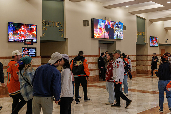 031125_ANAHEIM_DUCKS_0939