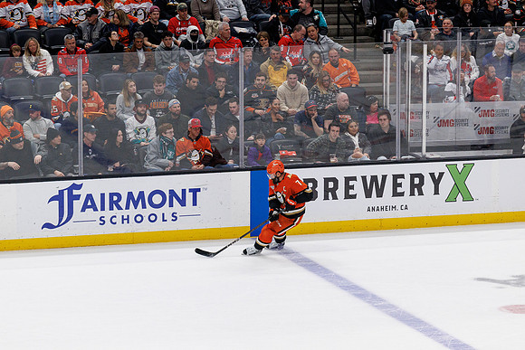 031125_ANAHEIM_DUCKS_1319