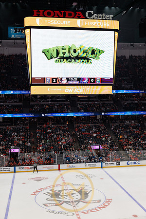 041325_ANAHEIM_DUCKS_358