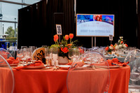 110224_OC_VIBE_0008
