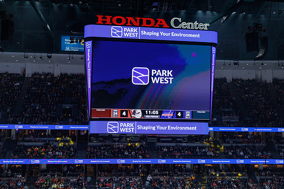 031125_ANAHEIM_DUCKS_1563