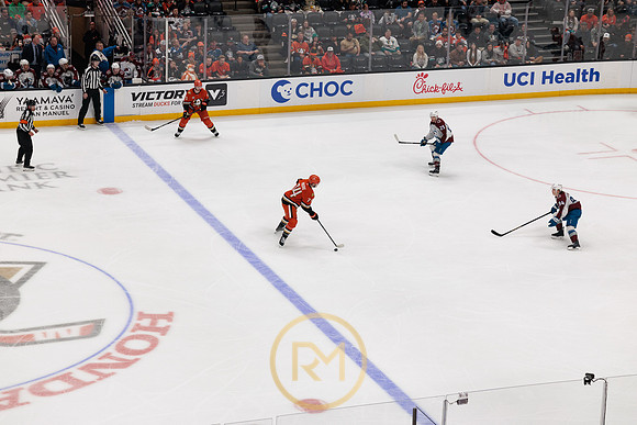 041325_ANAHEIM_DUCKS_372