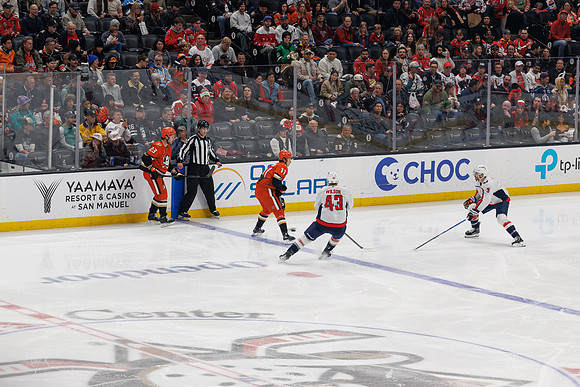 031125_ANAHEIM_DUCKS_1217