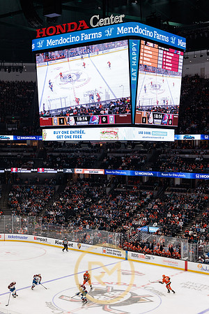 041325_ANAHEIM_DUCKS_187
