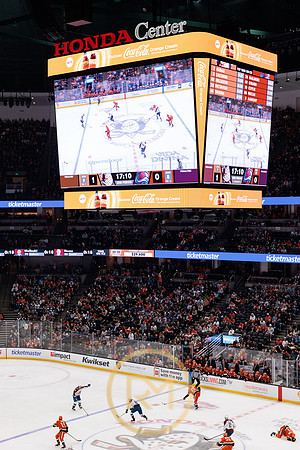 041325_ANAHEIM_DUCKS_196
