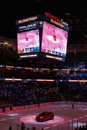031125_ANAHEIM_DUCKS_1372