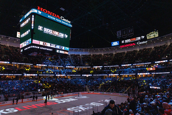 031125_ANAHEIM_DUCKS_1186