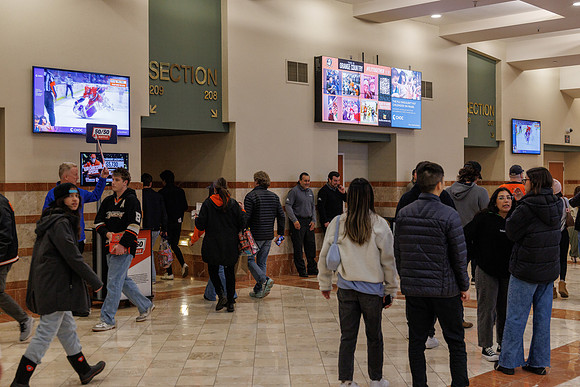 031125_ANAHEIM_DUCKS_0862