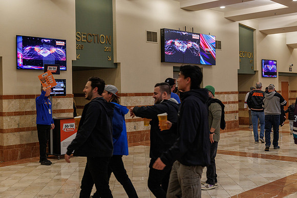031125_ANAHEIM_DUCKS_0901
