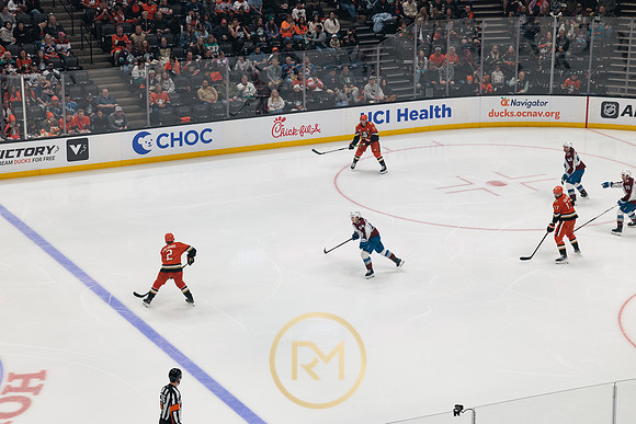 041325_ANAHEIM_DUCKS_327