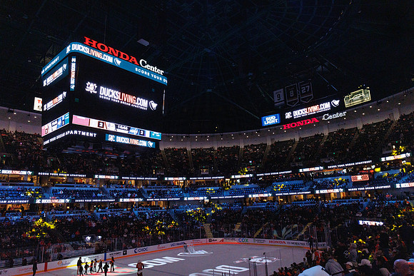 031125_ANAHEIM_DUCKS_1179