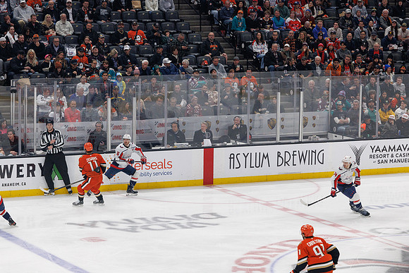 031125_ANAHEIM_DUCKS_1225