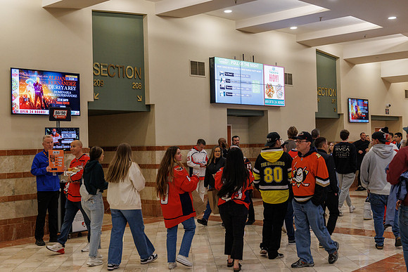 031125_ANAHEIM_DUCKS_0787