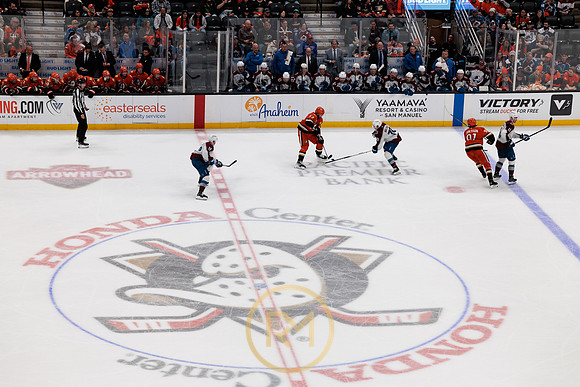 041325_ANAHEIM_DUCKS_402