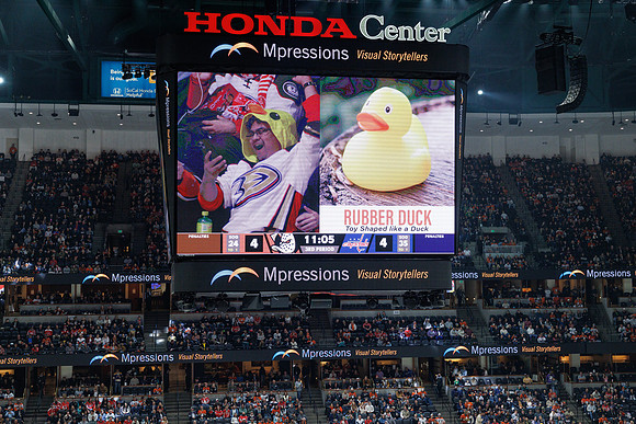 031125_ANAHEIM_DUCKS_1566