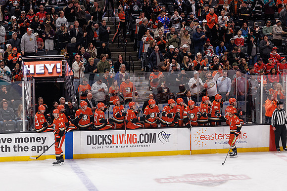 031125_ANAHEIM_DUCKS_0997