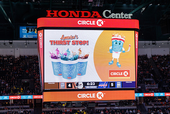 031125_ANAHEIM_DUCKS_1598