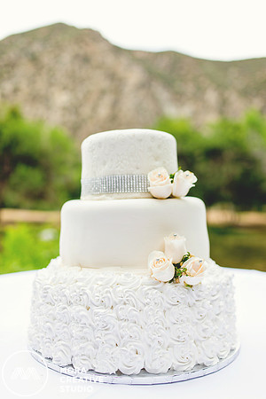 WEDDING_062715_0419