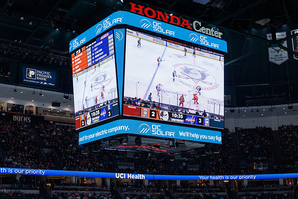 031125_ANAHEIM_DUCKS_1267