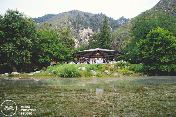 WEDDING_062715_0431