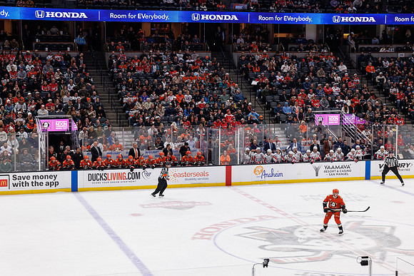 031125_ANAHEIM_DUCKS_1017