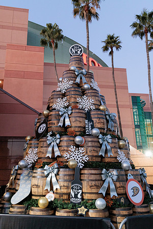 120622_ANAHEIM_DUCKS_0001