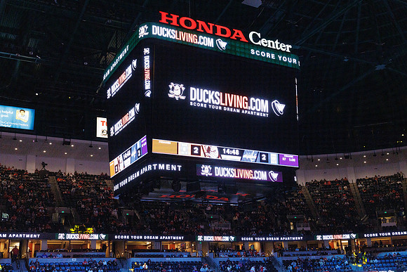 031125_ANAHEIM_DUCKS_1178